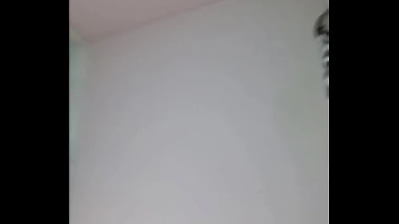 Girlfriend Doggystyle Hardcore