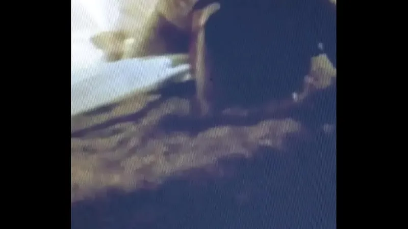 Hardcore Interracial Doggystyle