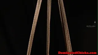 Busty restrained and whipped by dom