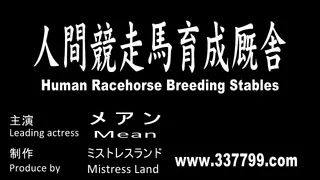 The Dominatrix's Exclusive Human Horse