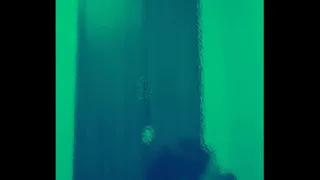 sucking cock
