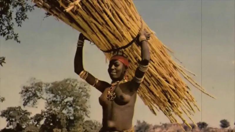 'Global Beauty' - Explicit Encounters from 'My Secret Life'