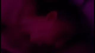 ESpañol