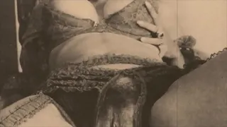 Retro Hairy Pussy Fucking