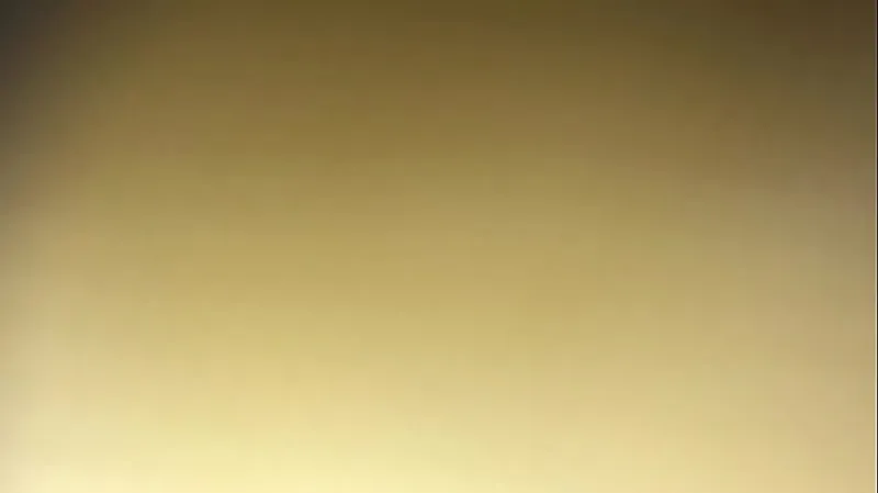 Top Head Queen Performs
