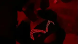Sexy tied ebony gives blowjob with no hands