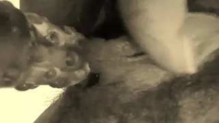 Solo female toy play vib love to play with my self