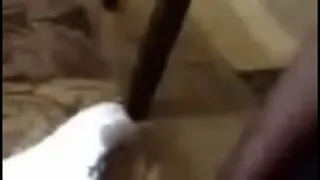 My Head Monster