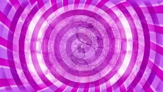 Pussy Training - Trailer