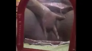 Fingering
