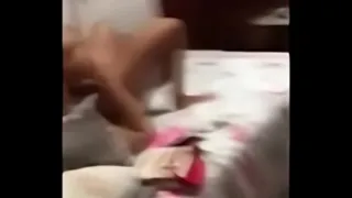 fucking a cat