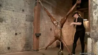 Mistress Claire Adams fingers and vibrates bound and gagged ebony lesbian sub Ana Foxxx then puts her in inverted suspension and fucks her with dildo