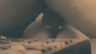hard fuck