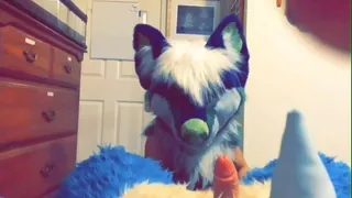 Hairy whore sucking