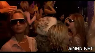 Sensational group fucking