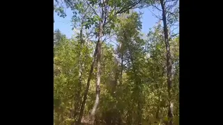 fucking a redhead bitch hard with a big dick doggy style