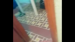 Fucking fast during work hours