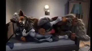 Bottoms up ladies2 - (Furry Animation)