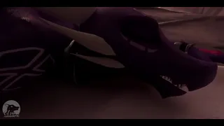 Furry animation xd