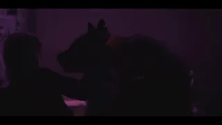 WILD LIFE FURRY PORN VIDEO