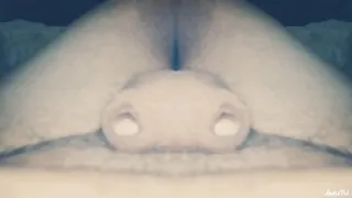 cock show