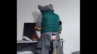 Second  videos