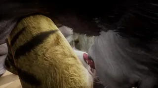 Female Wolf and Hyena fuck