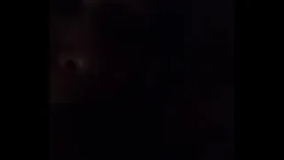 Cemental fucking asses Verification video