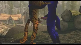 Skyrim Exhibitionist