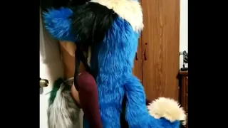 Lucario fucks piperthebun on the swing until he cums inside her
