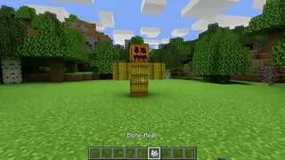 MINECRAFT SATISFYING LIQUID ASMR