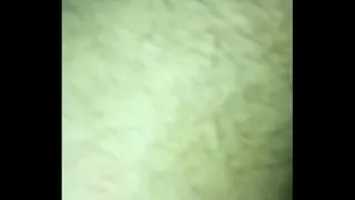 hairy pussy