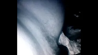 ORAL SEX LIKES THE CHIBOLO OCTOPUS