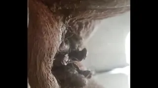 Pissing In Public Restroom