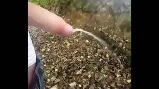 Pissing