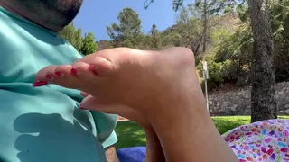 public solejob