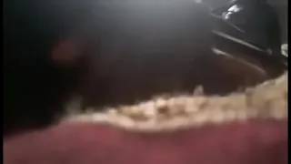 Kandy Kandice Pussy