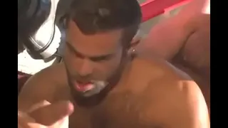 when gay bears