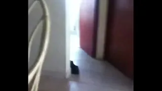 trim.pylJGz.MOV