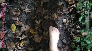 Little nylon forest walk
