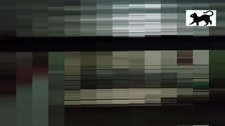 Audio of the neighbor's moans.