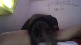 Big Uncut Cock Blowjob