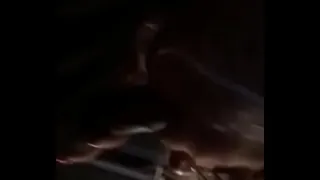 Big girl sucking big dick