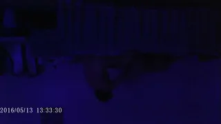 koren fuck a girl