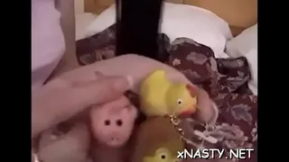 Young babe bonks ripped guy