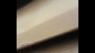 yummy moaning wife