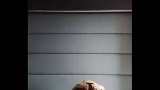 BIG ASS BIG TITS REDHEAD FUCKED