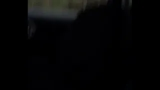 Head in the truck