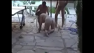 wife homemade whore sex 03