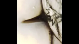 BEAUTIFUL strangers fucking at a hotel